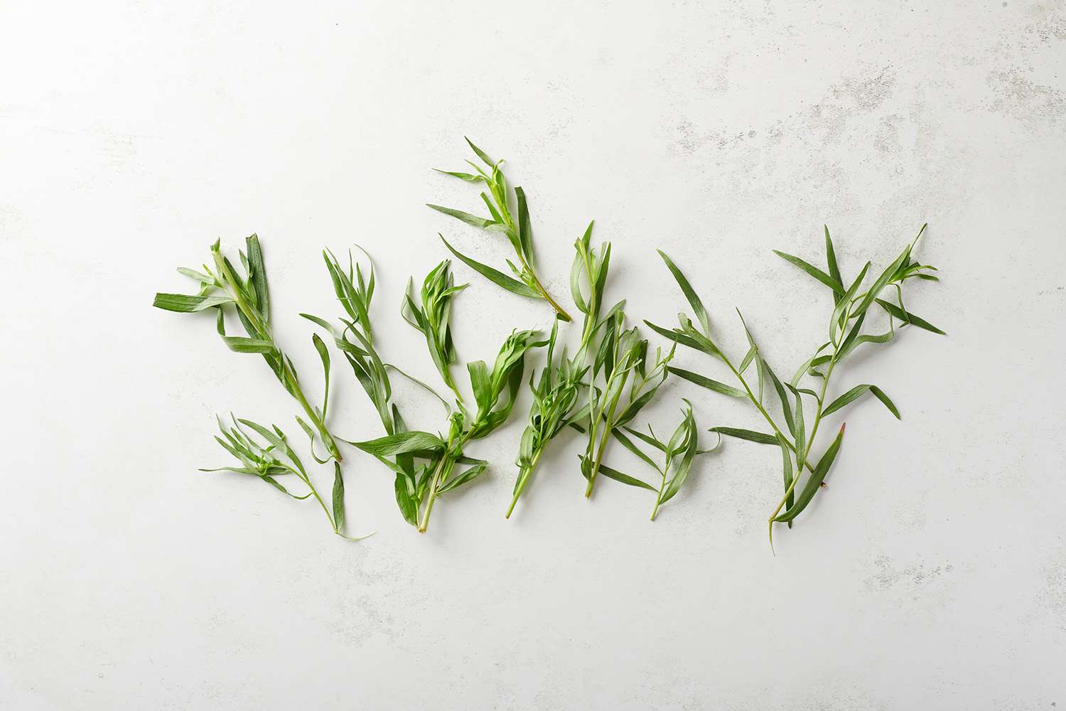 What Is Tarragon?