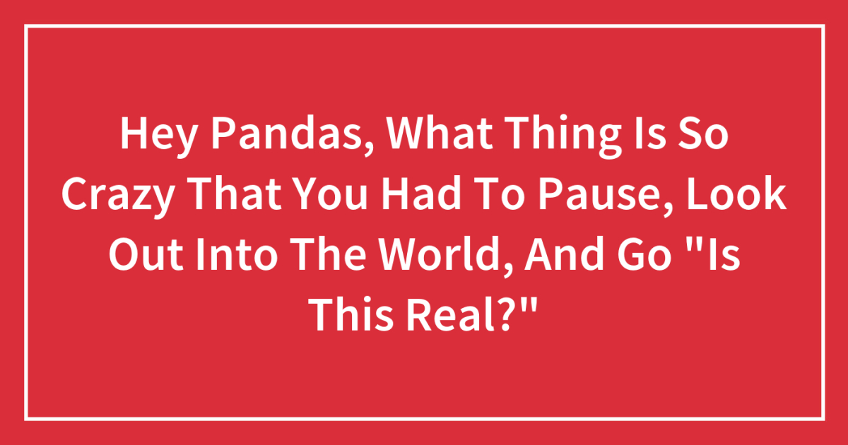 Hey Pandas, What Thing Is So Crazy That You Had To Pause, Look Out Into The World, And Go “Is This Real?”