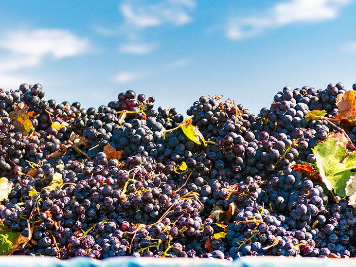 Grapes and Weight Loss: Benefits and More
