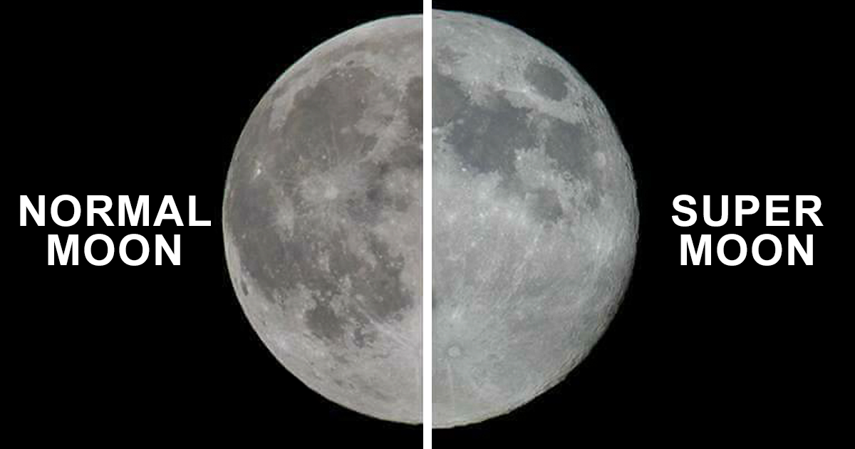 76 Hilarious Reactions To The Disappointing Supermoon