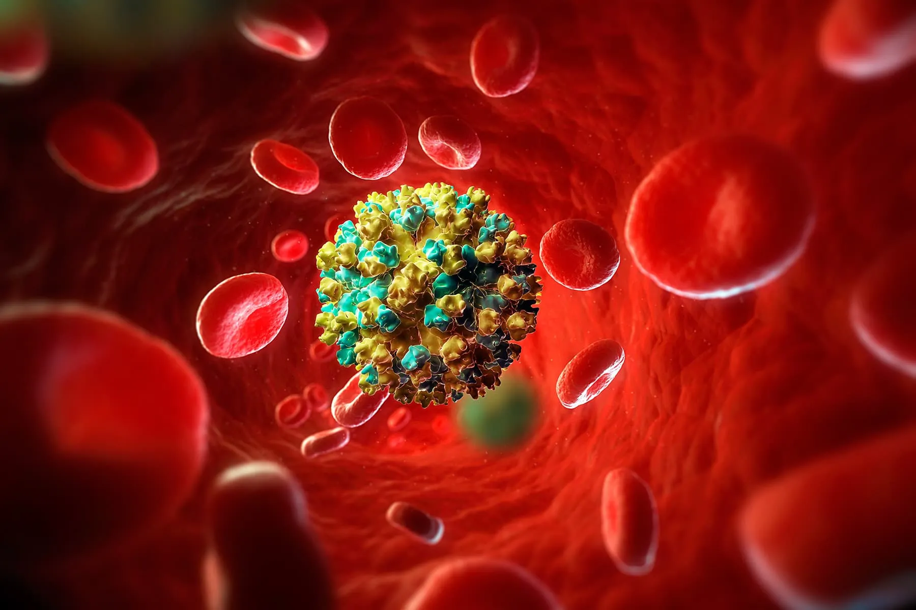 Test Your Hepatitis C Knowledge