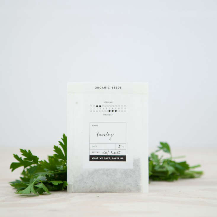 Parsley – Organic Seeds