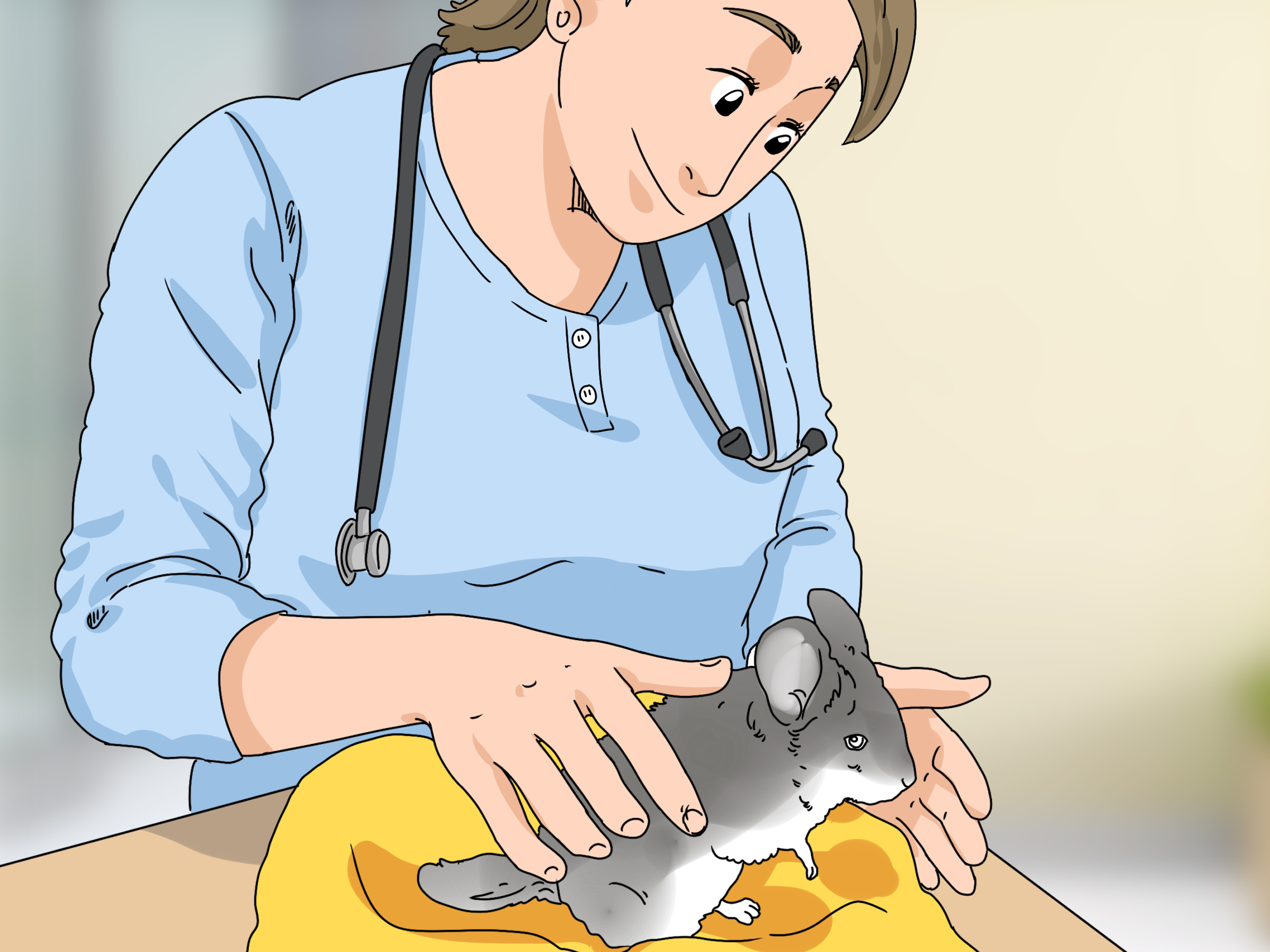 How to Treat Eye Irritations in Chinchillas: 14 Steps