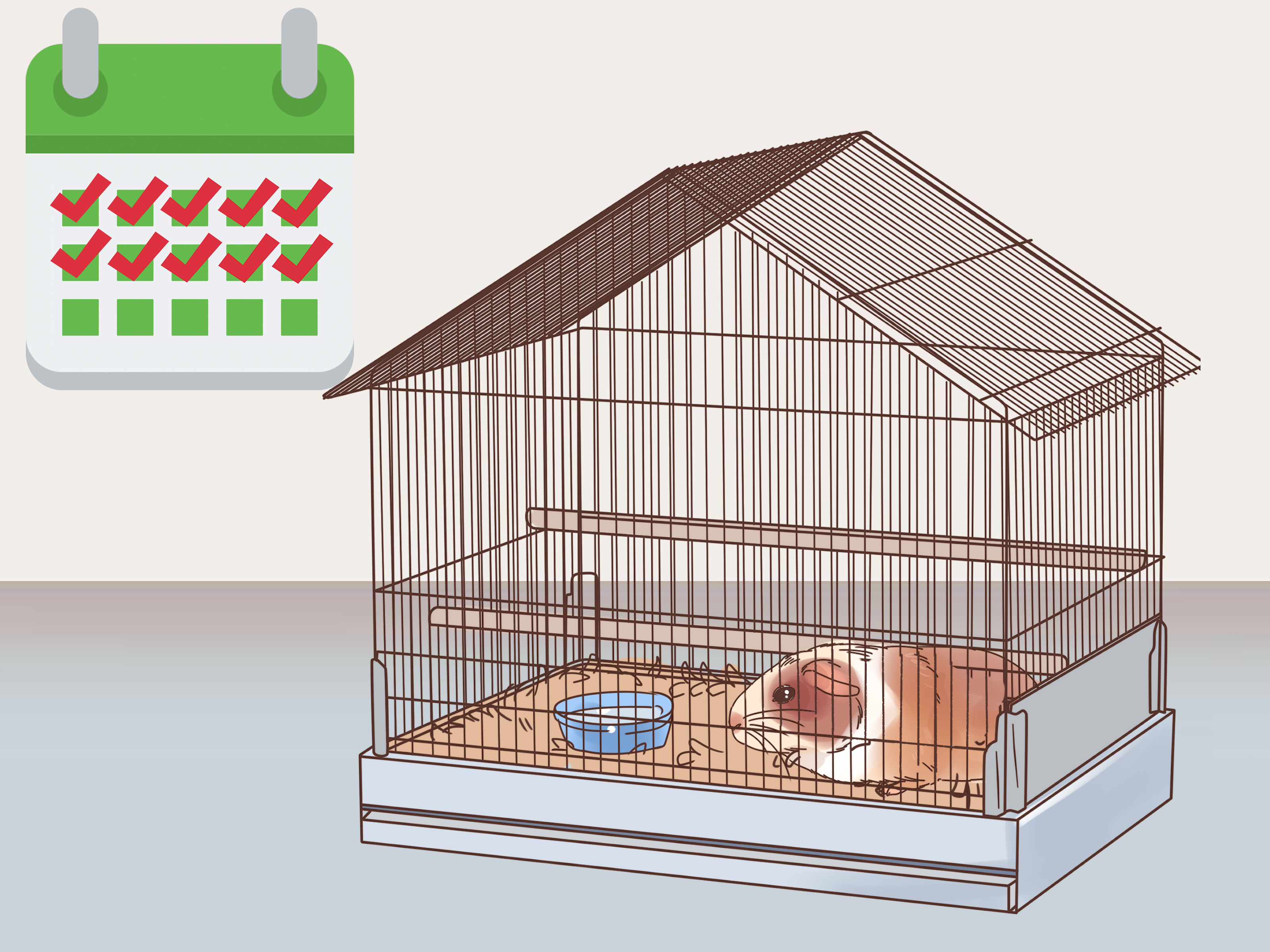 How to Treat Ringworm in Guinea Pigs: 14 Steps
