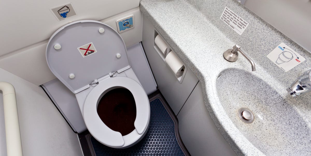 Scientists Are Fighting Future Pandemics With a Secret Weapon: Airplane Toilets