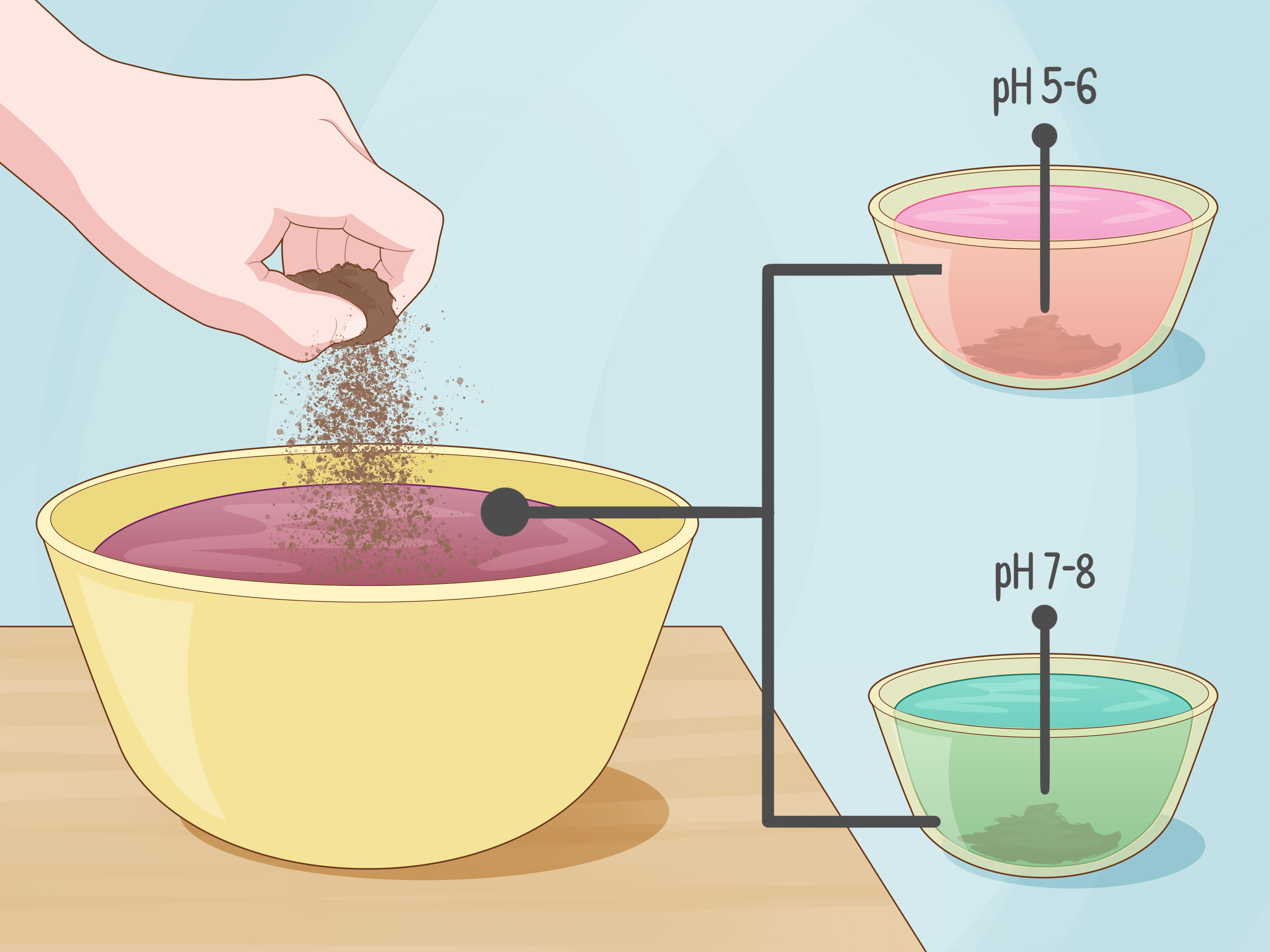 3 Ways to Do a Home Soil Test