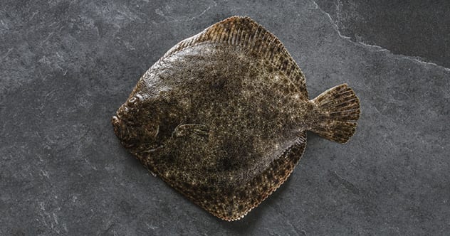 10 Bitter Conflicts Fought Over Seafood