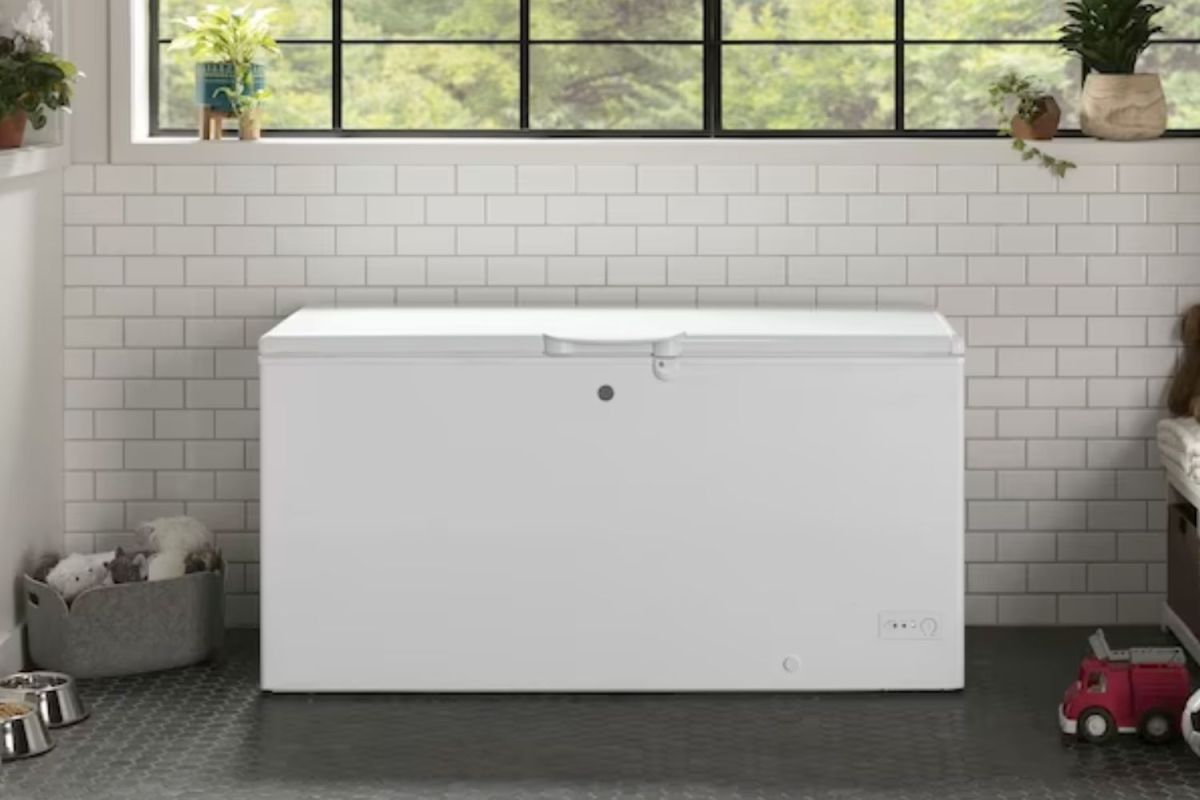 The 8 Best Chest Freezers for Extra Cold Storage, Vetted