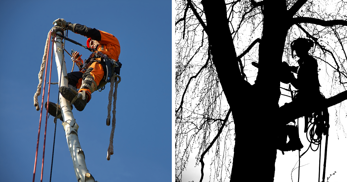 Rope Access Is My Daily Job, I Often Take a Camera With Me to Work, Here’s What I Captured (21 Pics)