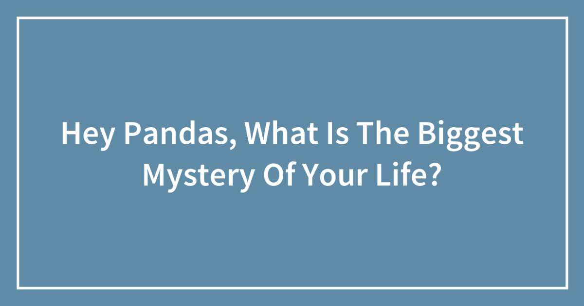 Hey Pandas, What Is The Biggest Mystery Of Your Life?