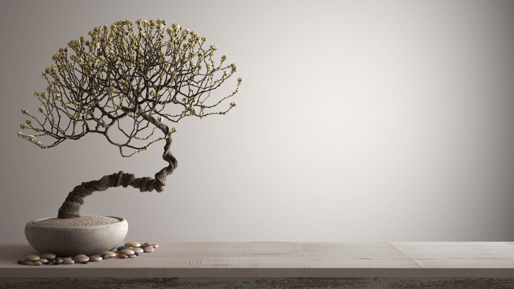 Reflections on Human Suffering